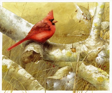 pflaume vögel Ölbilder verkaufen - Papagei auf Baum Vögel